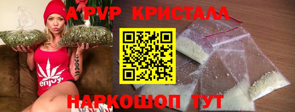 Alfa_PVP СК Кандалакша
