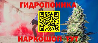 ПСИЛОЦИБИНОВЫЕ ГРИБЫ Жуковский
