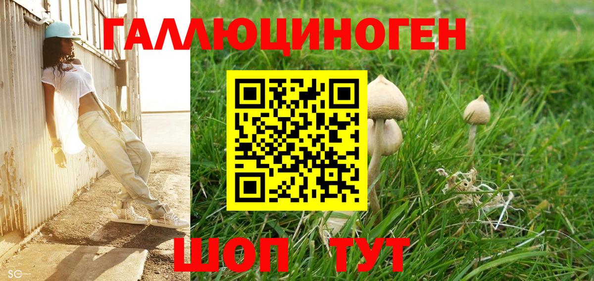 купить наркоту  Галлюциногенные грибы Psilocybine cubensis  Псилоцибиновые грибы мухоморы  Вход с VPN  Кандалакша 
